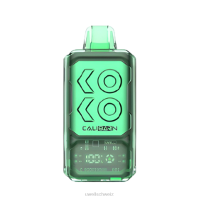 Uwell Vape Kaufen - UWELL CALIBURN Bar S12000 Einweg-Vaporizer Miami-Minze N02L287